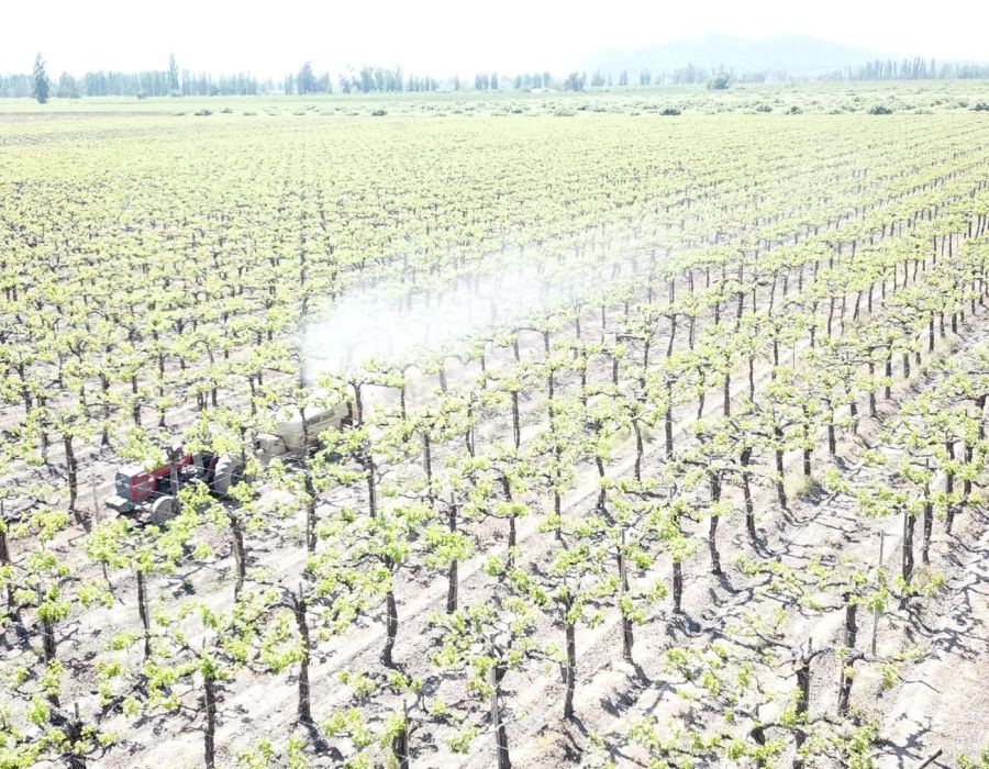 Epandage de pesticide dans un verger au Chili.