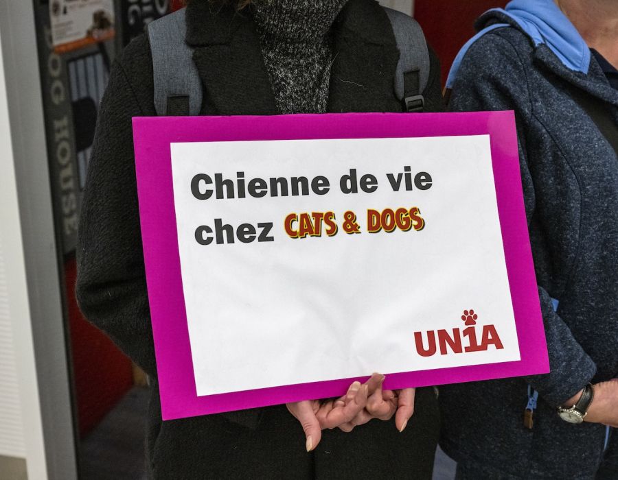 Pancarte "Chienne de vie chez Cats & Dogs".