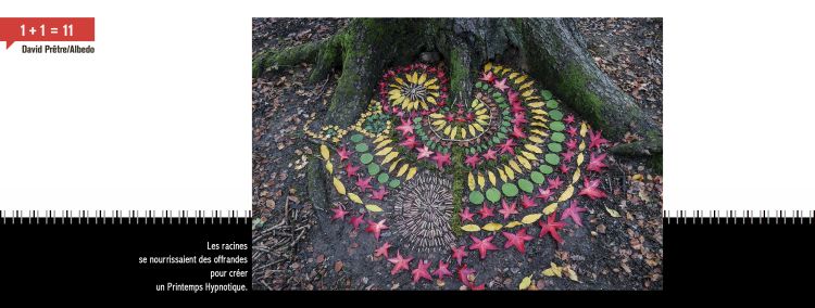 Des feuilles ornent les racines d'un arbre