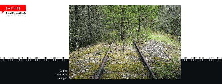 Des rails de train traversées d'arbres