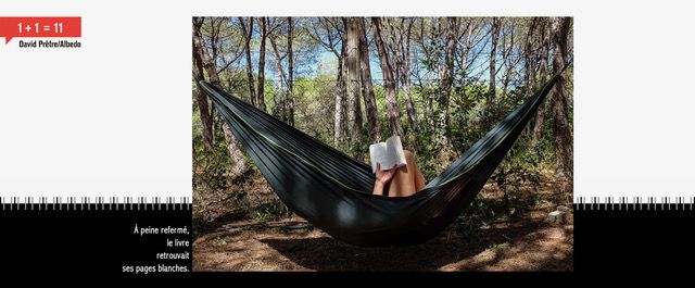 Une personne lit dans un hamac, devant une forêt